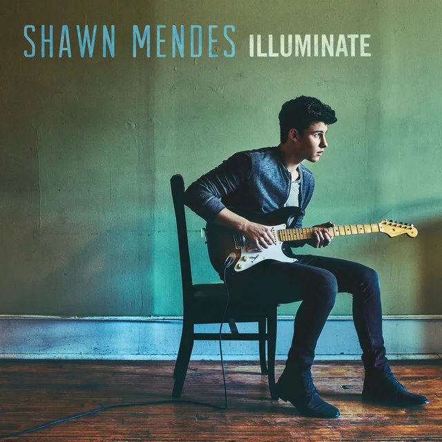 Treat You Better de Shawn Mendes: El ruego de Shawn Mendes - Shawn Mendes